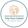 Tulip Tours Iceland